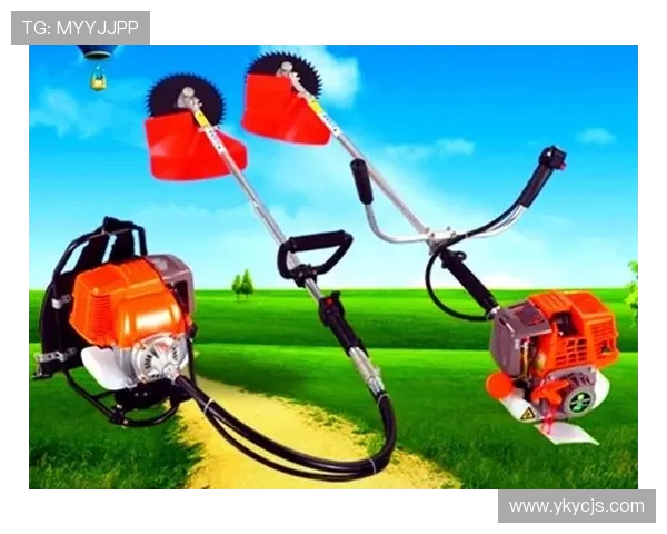 乒乓球运动的技巧与策略解析：从基础训练到高级战术的全面指南