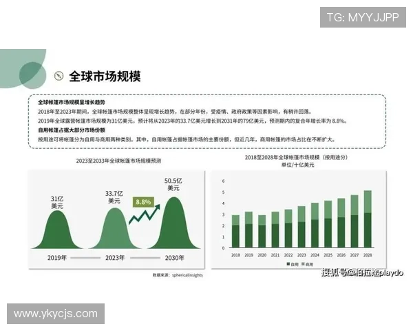 探索全球电竞产业崛起趋势与未来竞争格局深度洞察与发展展望前景