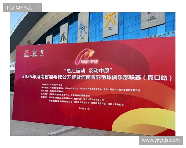 南京羽毛球队反击战术解析与深度剖析羽毛球运动的魅力与挑战