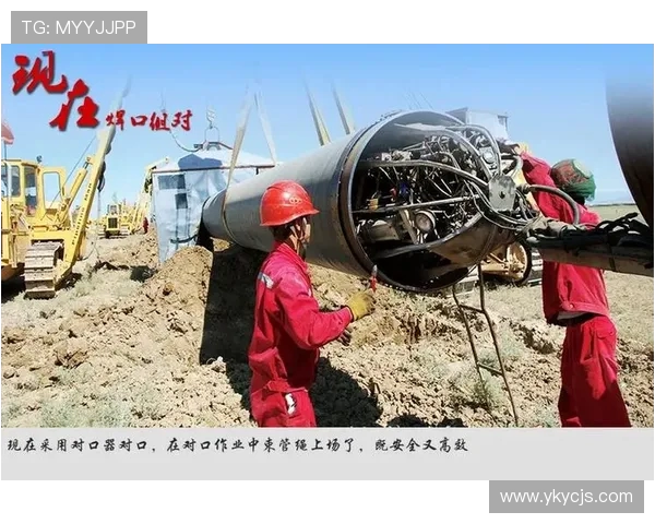 对话杨伟：回顾羽毛球生涯的辉煌与挑战之路