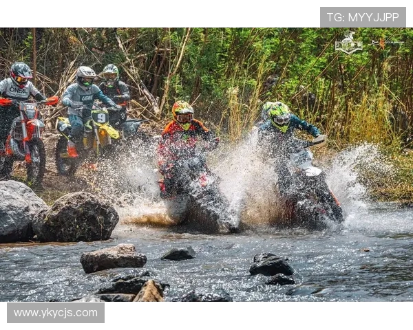 极限运动耐力实力榜单权威发布引发热议与关注