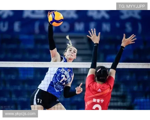 深入分析上海排球队防守策略与战术特点的专业解读